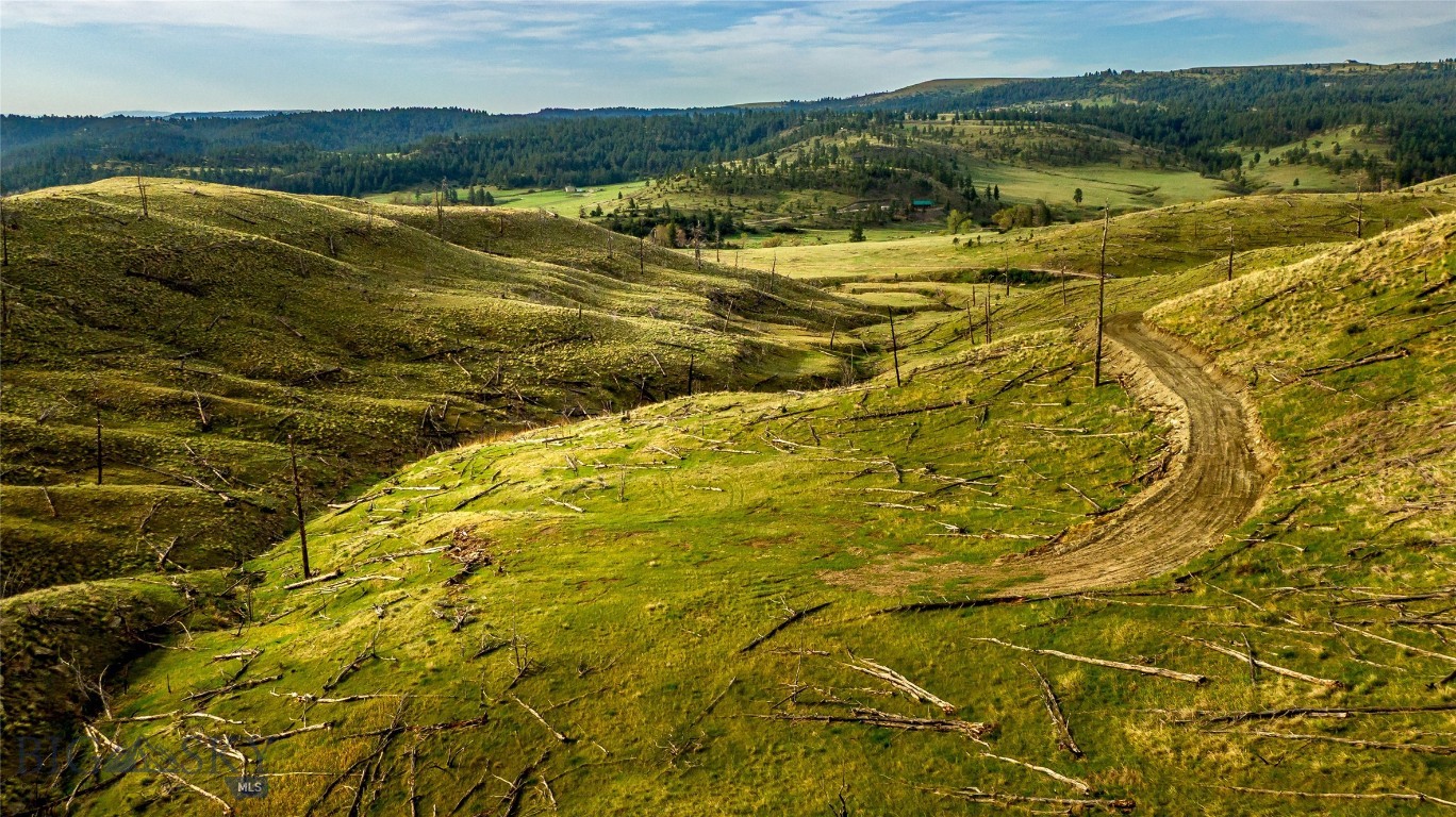 Lot 201 Yellowstone River Ranch