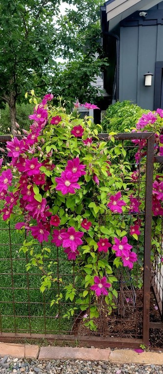 Livingston Original Plat - Residential