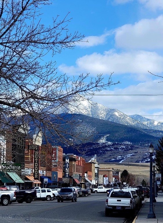 Livingston Original Plat - Residential