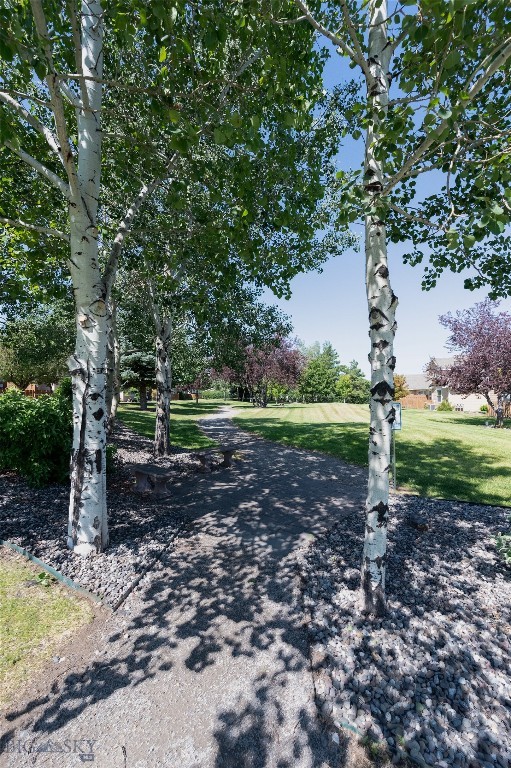 Lessley Estates Condo - Residential