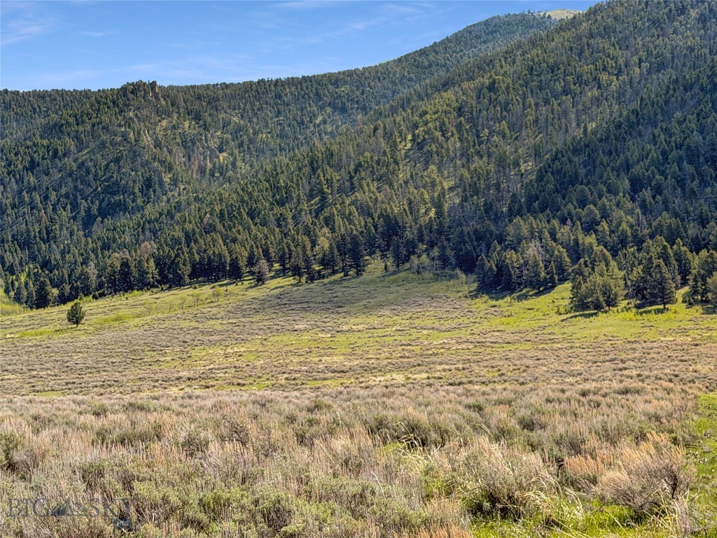 Parcel 2 & 4A Continental Divide RD