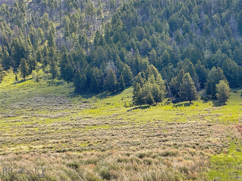 Parcel 2 & 4A Continental Divide RD