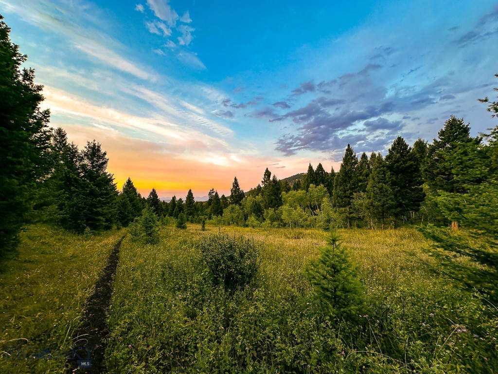 Discover the perfect blend of privacy, accessibility, and natural beauty on this exceptional acreage. Tucked away at the end of the road, this secluded property offers exclusive access, making it an ideal setting for a dream home or recreational getaway. The land boasts a diverse landscape, featuring a harmonious mix of coniferous and deciduous trees, including towering firs, pines, and picturesque aspen groves. The varied topography provides stunning views and countless opportunities for outdoor adventure, with an established trail system that offers easy access throughout the property.
For the avid hunter, this property is a true gem, offering excellent opportunities for deer, elk, and bear hunting. Additionally, it adjoins a large conservation easement, granting access to public hunting grounds. Whether you're looking for a serene retreat or a hunting paradise, this unique piece of land has it all.
Power runs along the highway, but there is not an easement in place to bring power to the property. The access to the seller's property is via an established easement and the seller will provide an easement through the portion being retained to provide insurable access.