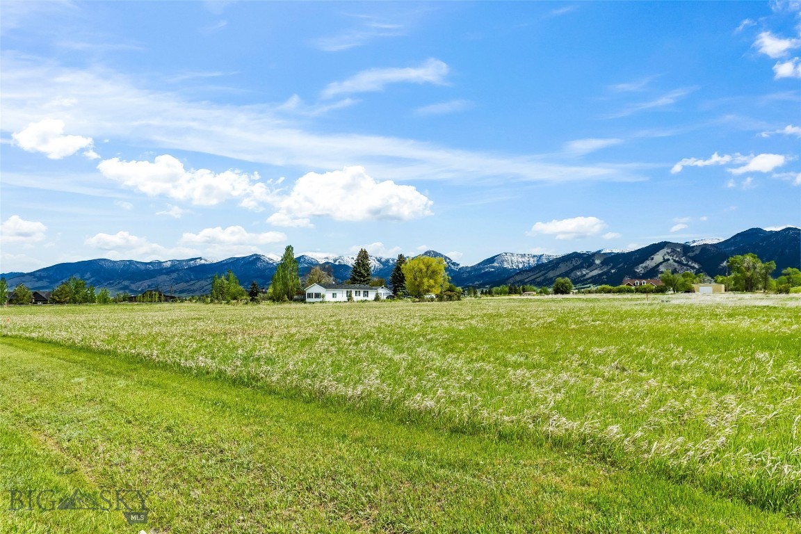 Minor Subdivision - Land