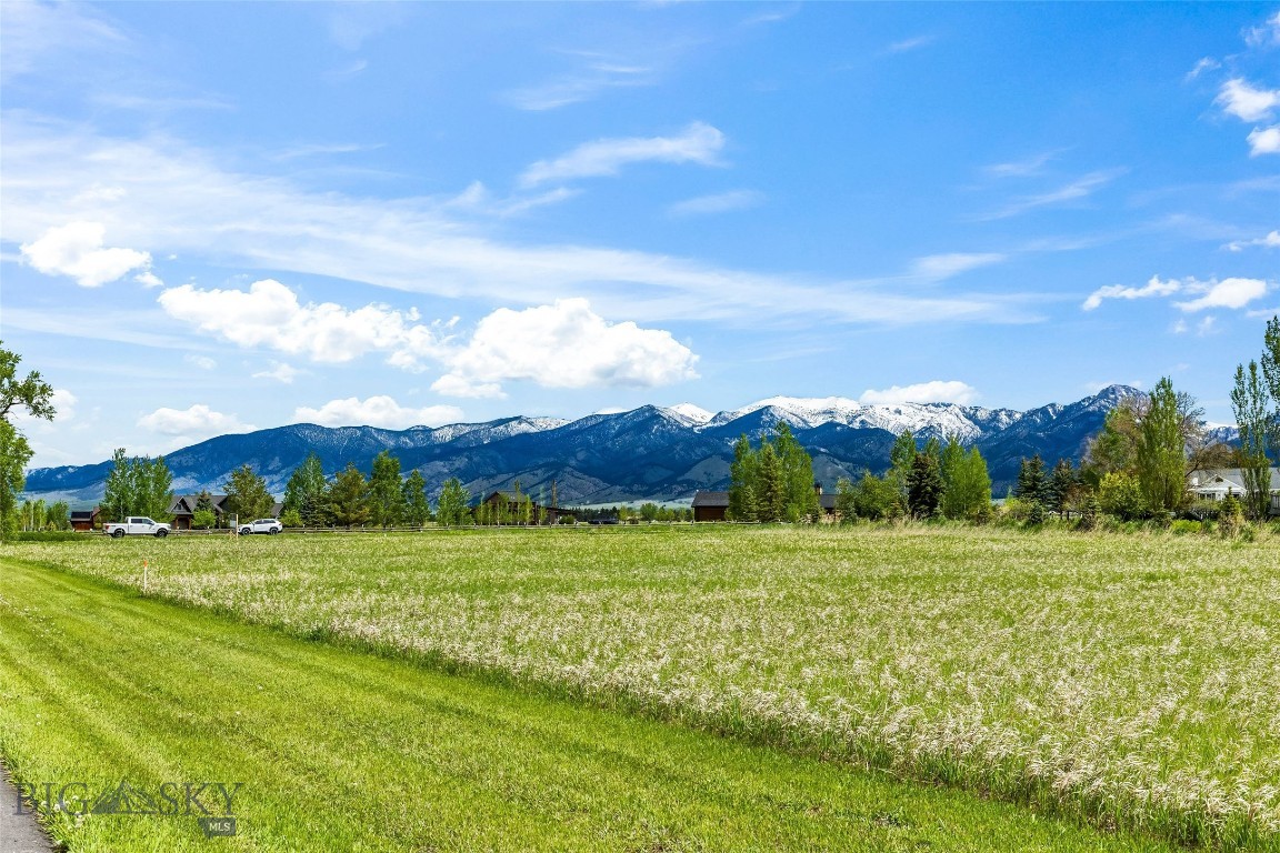 Minor Subdivision - Land