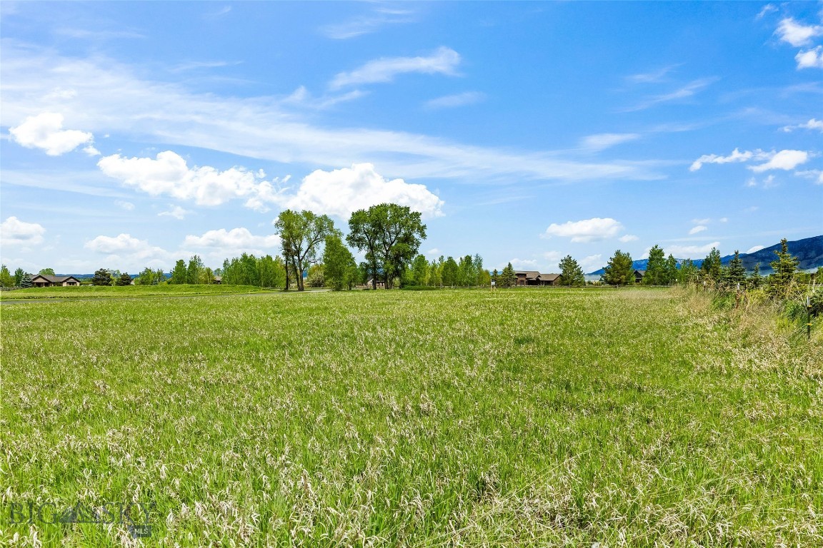 Minor Subdivision - Land