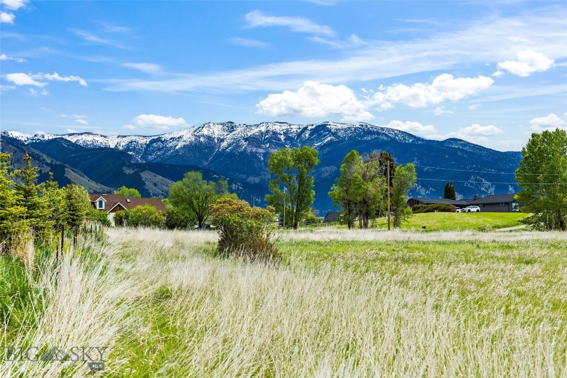 Minor Subdivision - Land