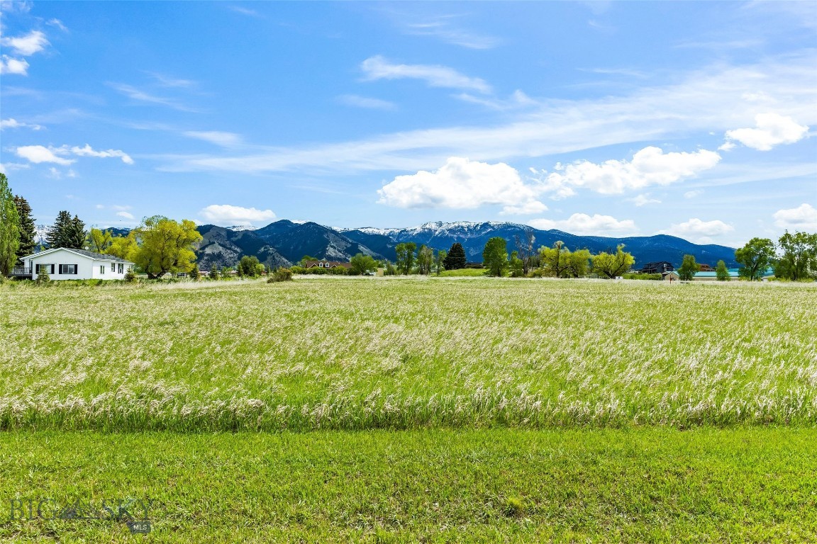 Minor Subdivision - Land
