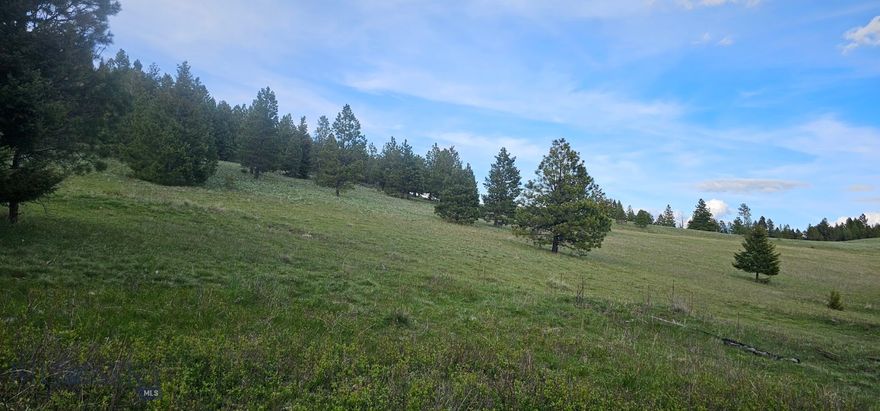 Tract 6 Bull Elk – 161.36+/- Acres | Springs, Private Road, Borders Forest Service Escape to 161.36+/- acres of Montana land for sale in Granite County near Drummond, MT. This off-grid property features natural springs, pasture, timber, and stunning mountain views and improved roads. With an insured access road and direct access to Forest Service land, it’s perfect for recreation, hunting, or your dream Montana homestead. Ideal for those seeking private acreage, agricultural land, or horse property in a secluded Montana setting. A chance to invest in scenic, rural land Montana.