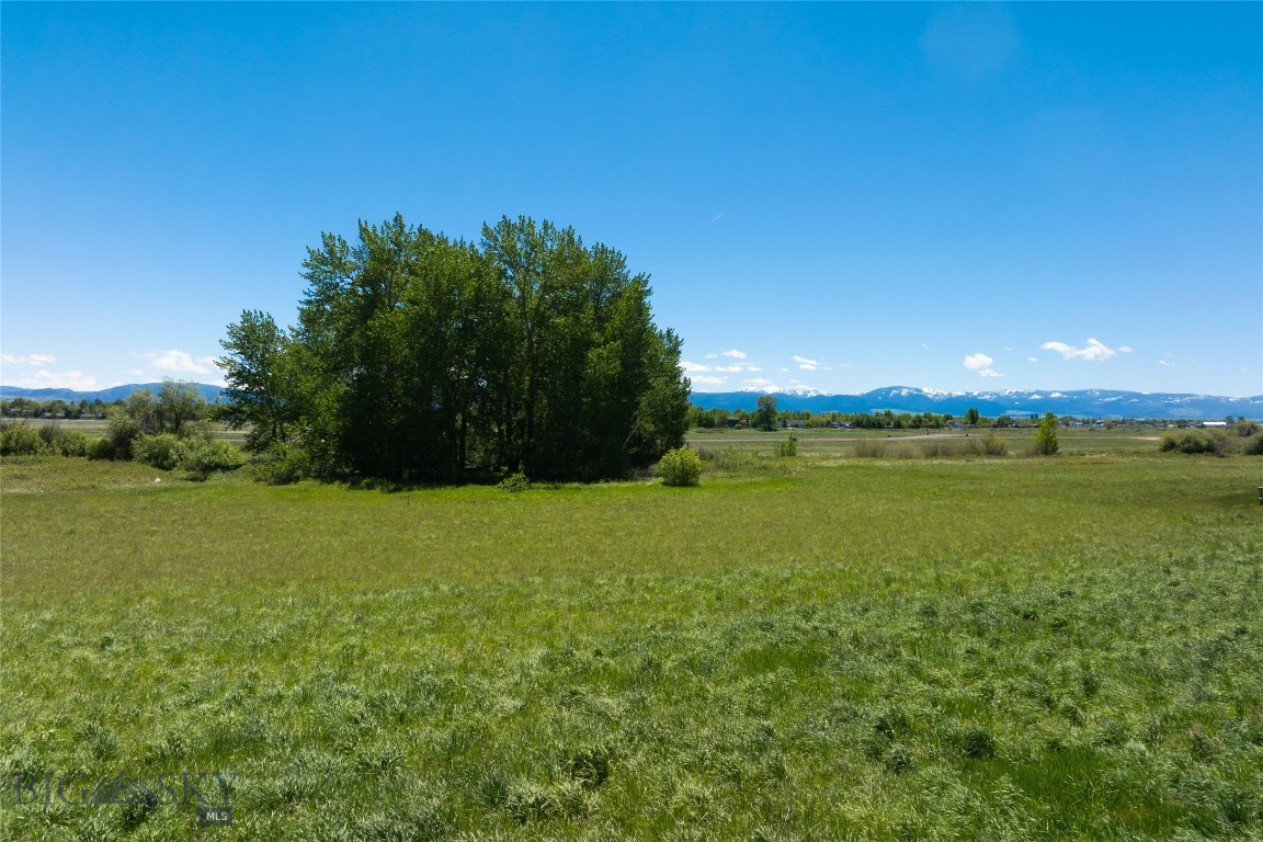 Riverwood - Land