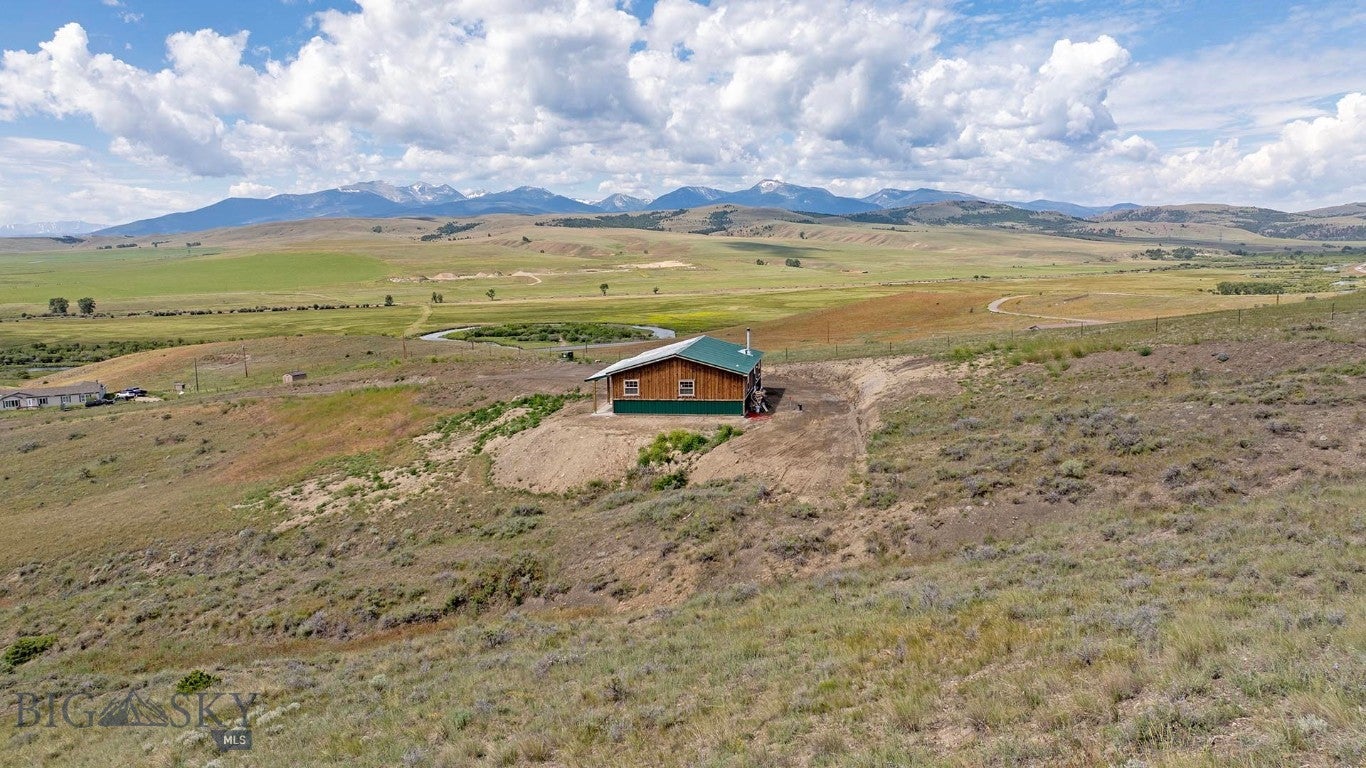 17 Larkspur