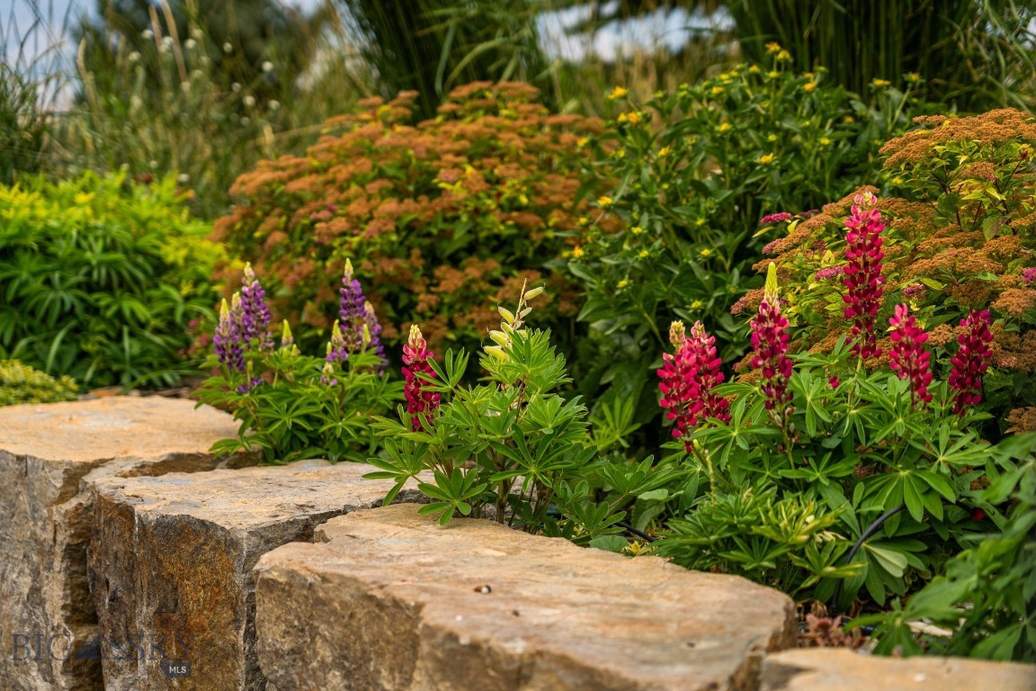 Ross Creek - Residential