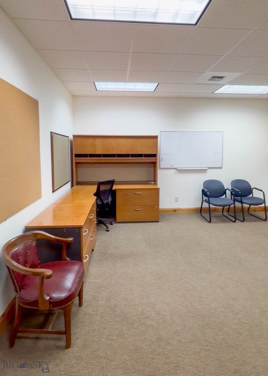 Cougar Park - Commercial Lease