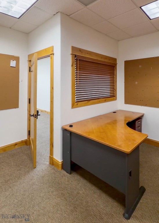 Cougar Park - Commercial Lease