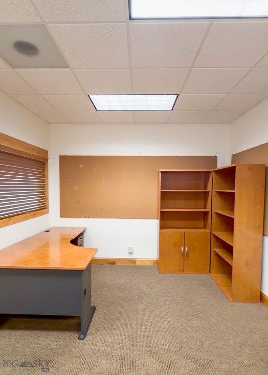 Cougar Park - Commercial Lease