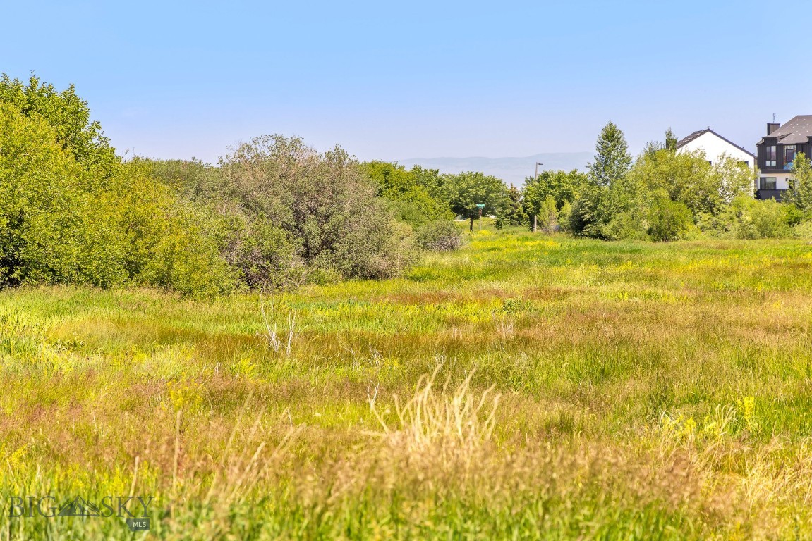 Minor Subdivision - Land