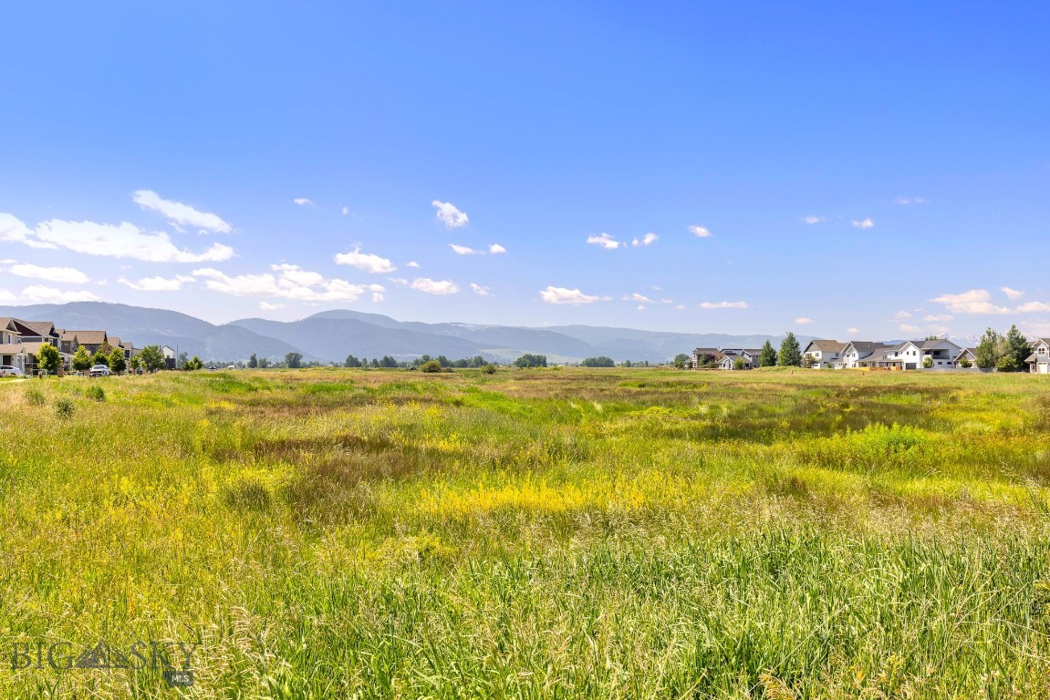 Minor Subdivision - Land