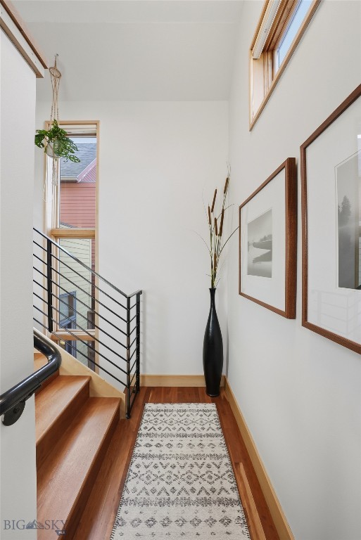 Black Addition - Residential