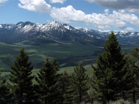 Photo of tbd Grizzly Meadows Road, Emigrant, MT 59027 (MLS # 414633)