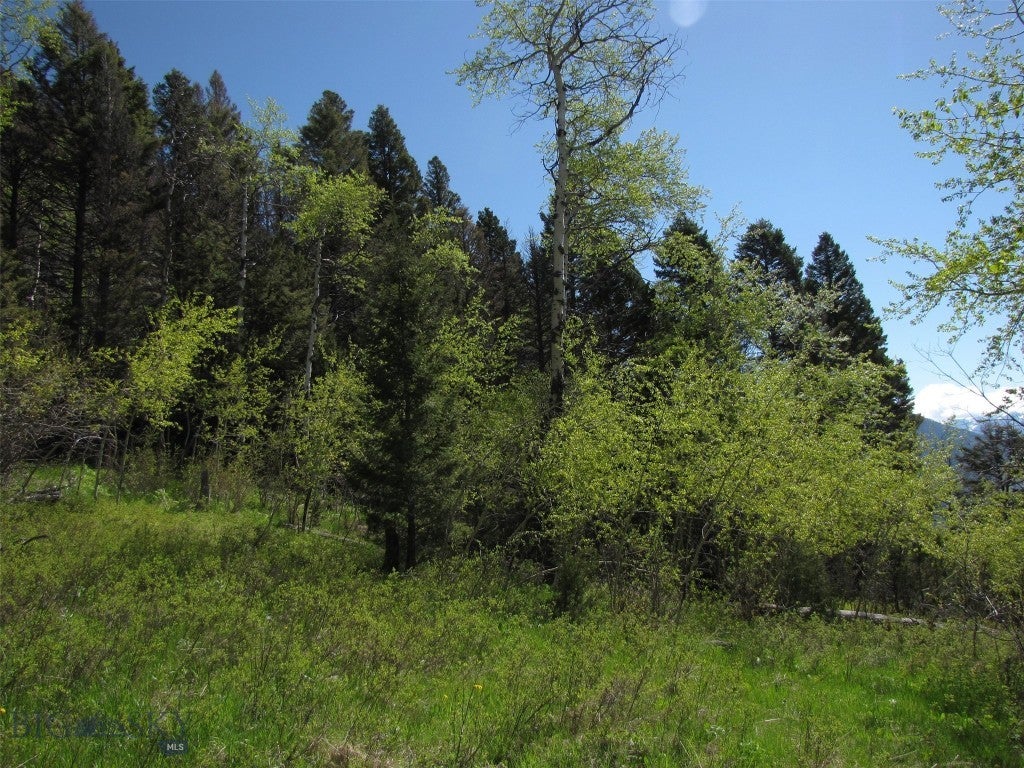 tbd Grizzly Meadows Road