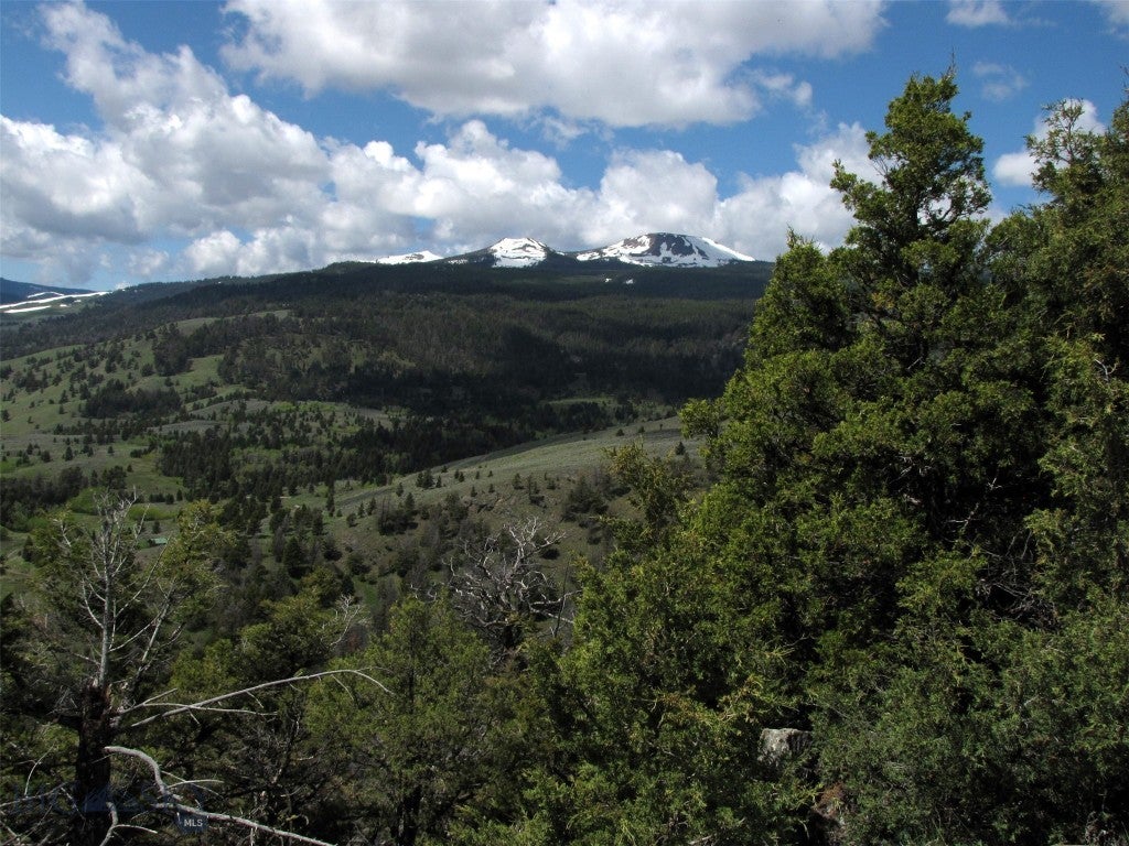 tbd Grizzly Meadows Road