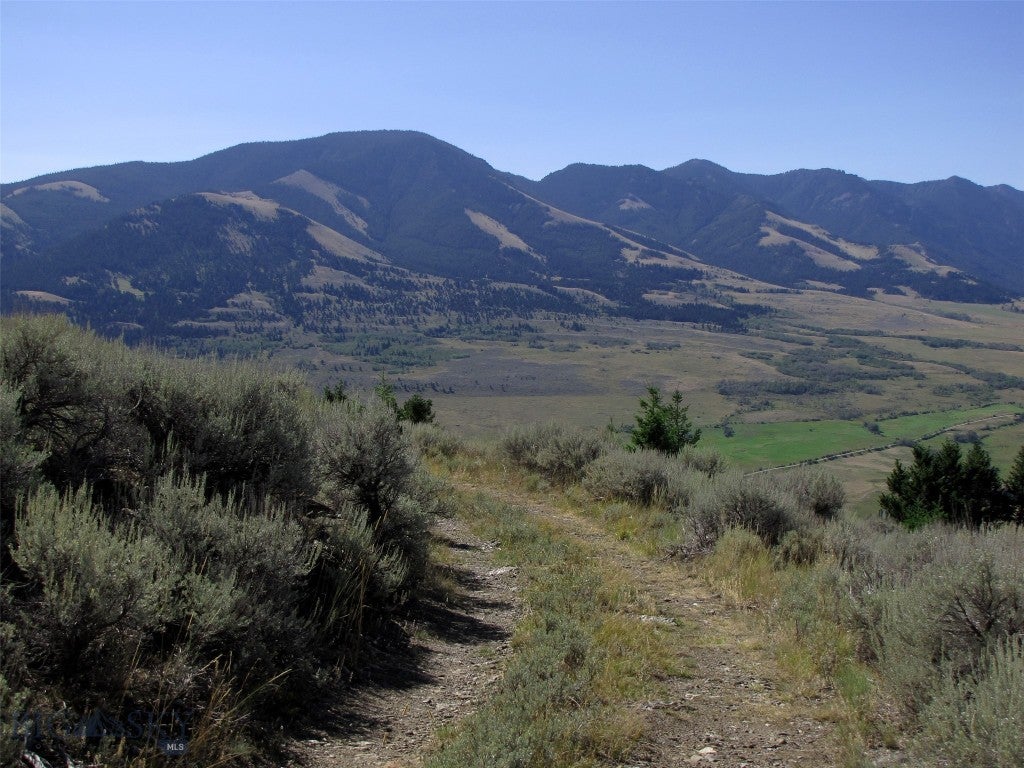 tbd Grizzly Meadows Road