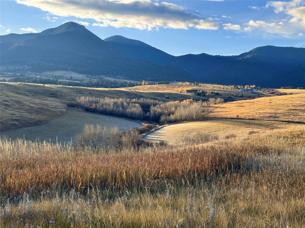 The Preserve at Aspen Springs - Residential