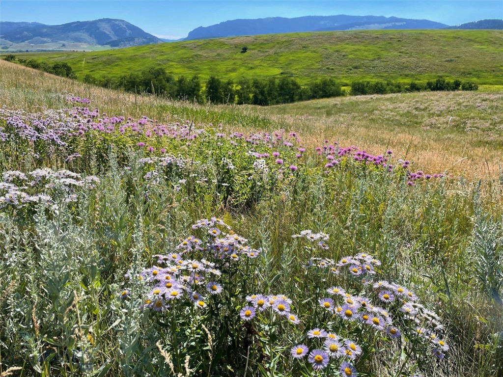The Preserve at Aspen Springs - Residential