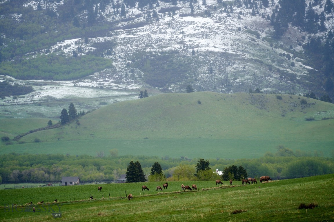 The Preserve at Aspen Springs - Residential