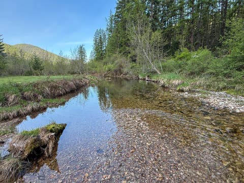 Photo of 168 Hope Valley Road, Trout Creek, MT 59874 (MLS # 411334)