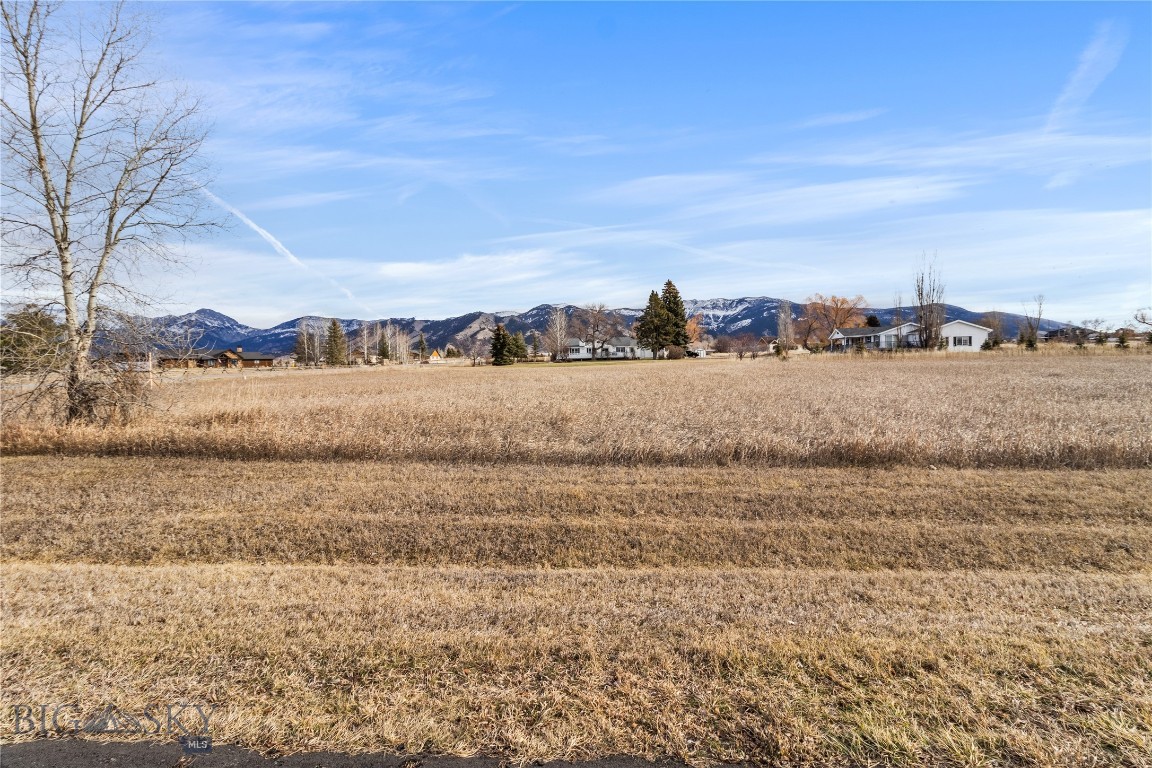 Minor Subdivision - Land