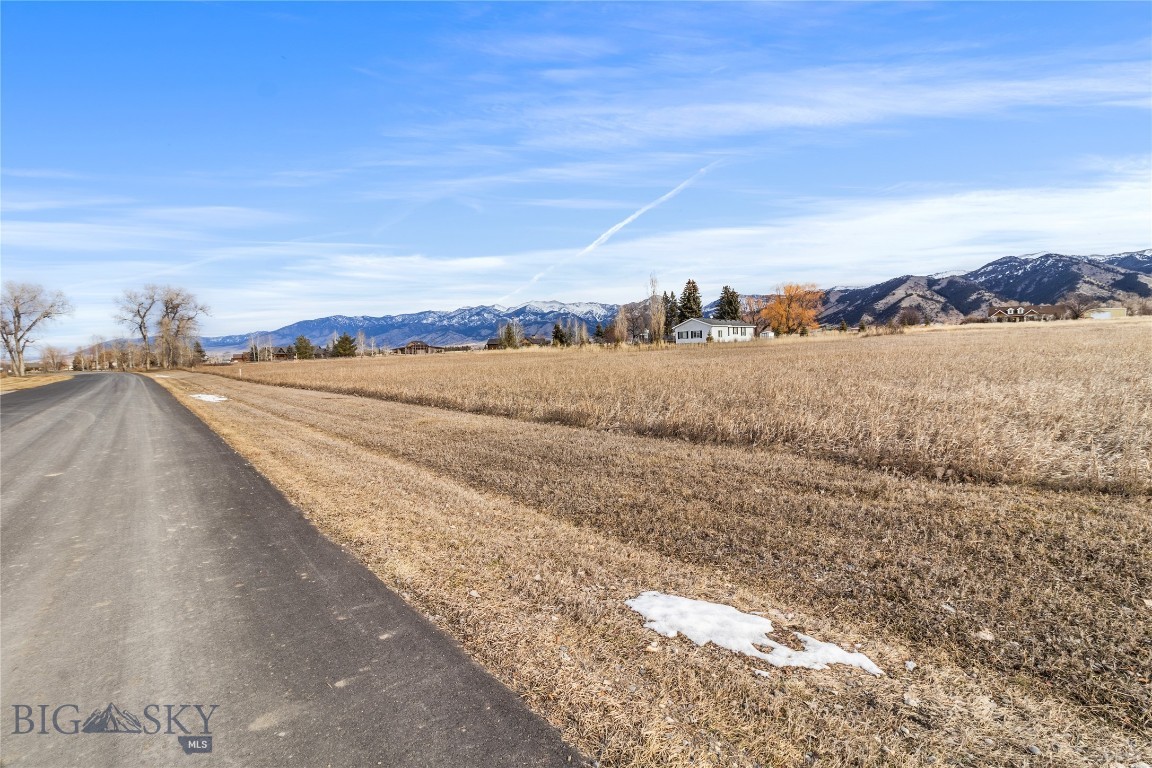 Minor Subdivision - Land