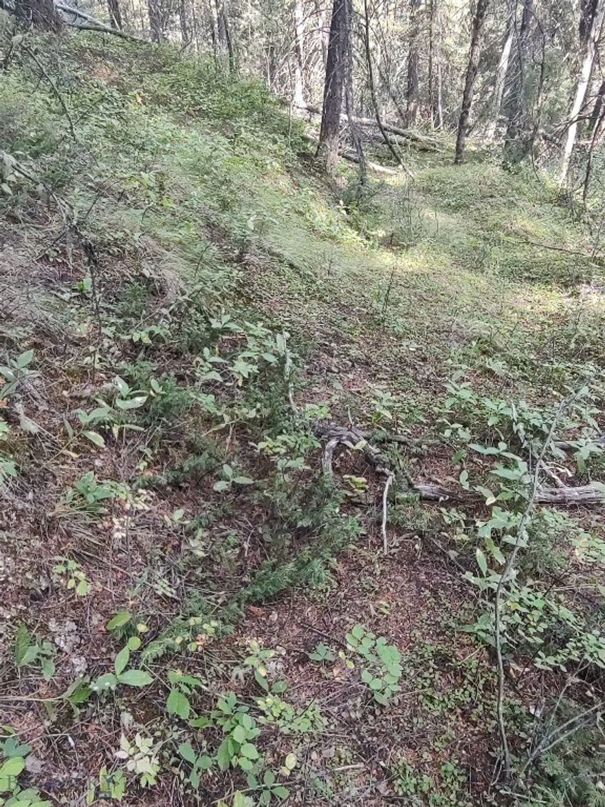 Nice little piece of Montana! Less that 2 miles from Philipsburg. No Covenants, Electric runs across the lot. Lot has cell service. OnX is very useful