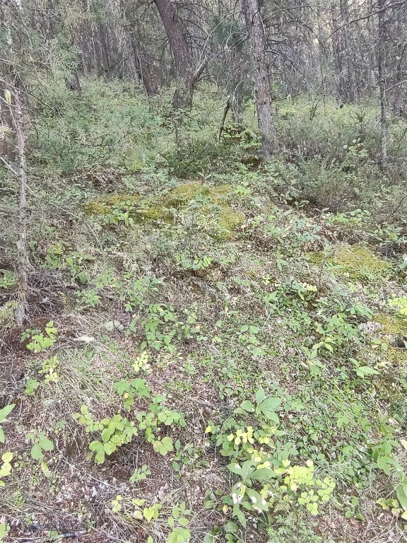 Other - Land