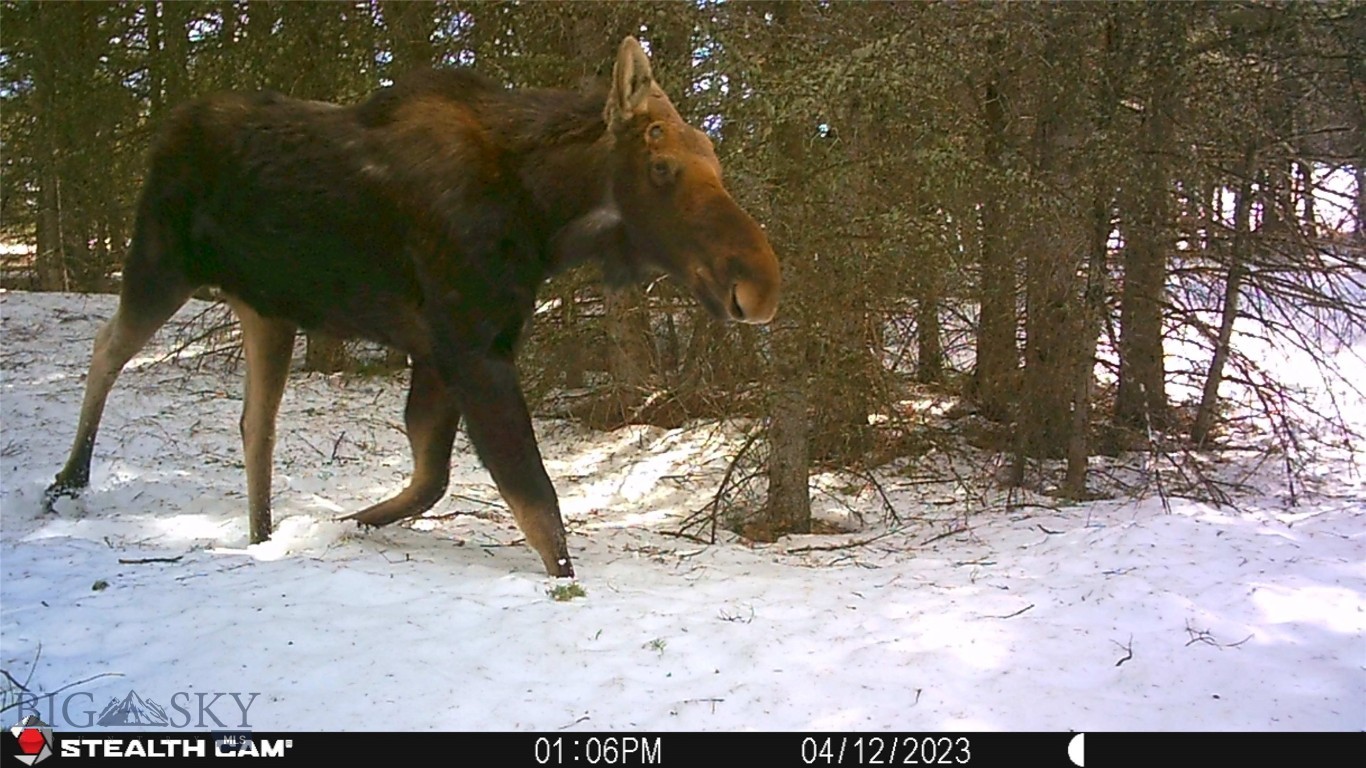 Yellowstone Basin Properties - Residential