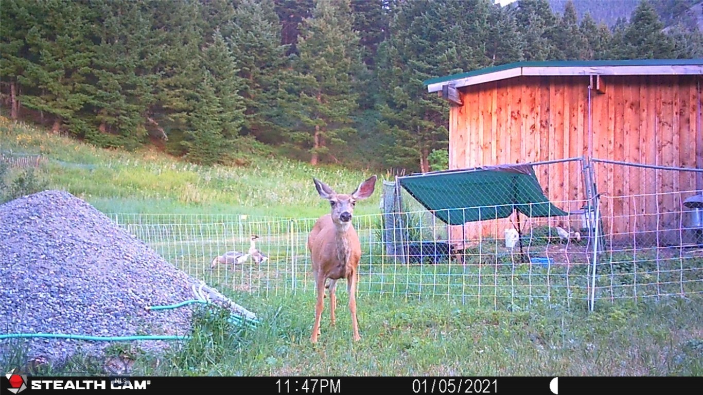 Yellowstone Basin Properties - Residential