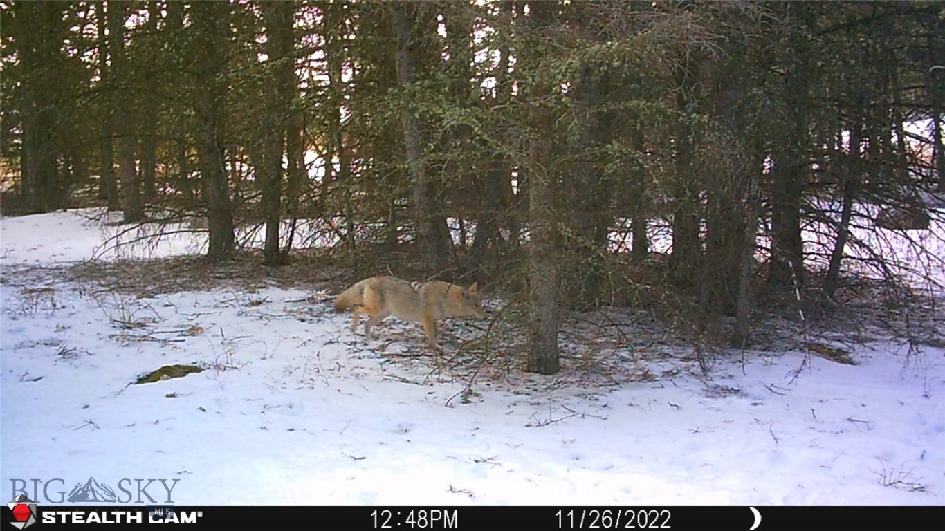 Yellowstone Basin Properties - Residential