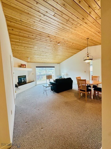 Firelight Meadows Condo - Residential
