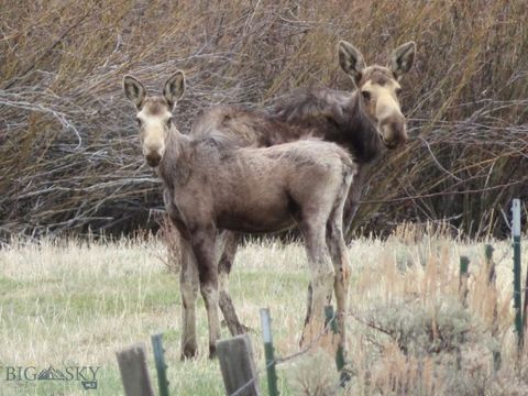 Photo of TBD Camp Creek Road, Melrose, MT 59743 (MLS # 411592)