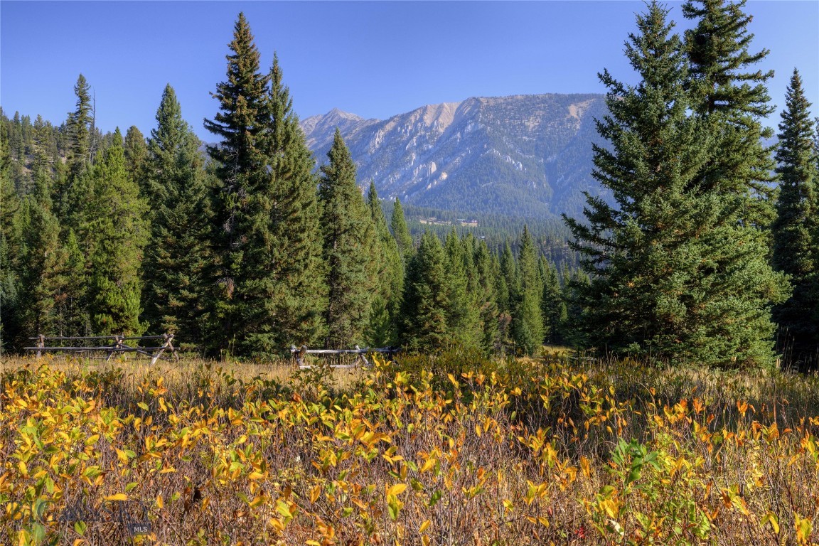 Spring Creek Reserve Neighborhood - Land