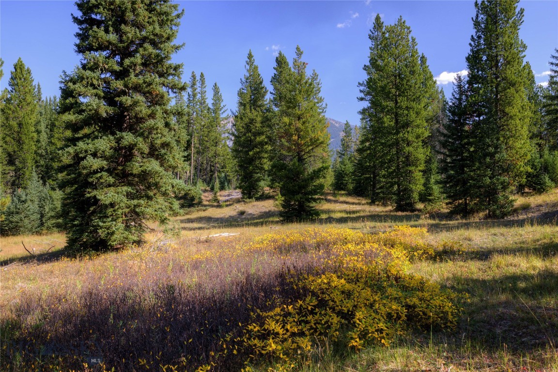 Spring Creek Reserve Neighborhood - Land