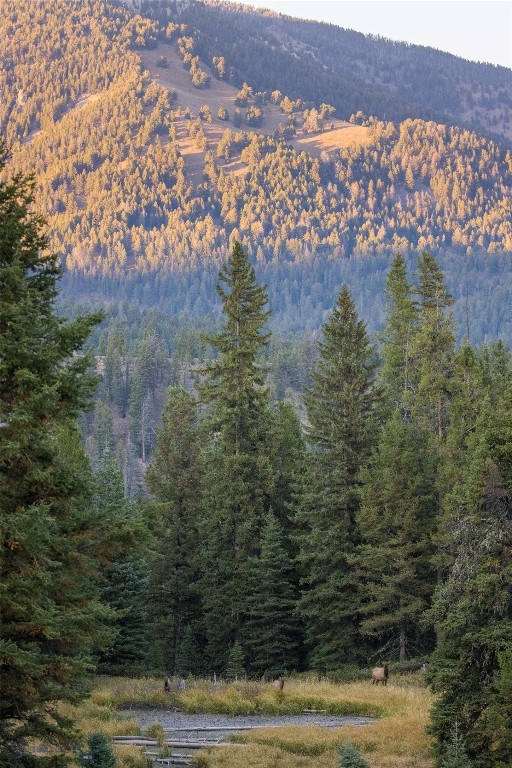 Spring Creek Reserve Neighborhood - Land