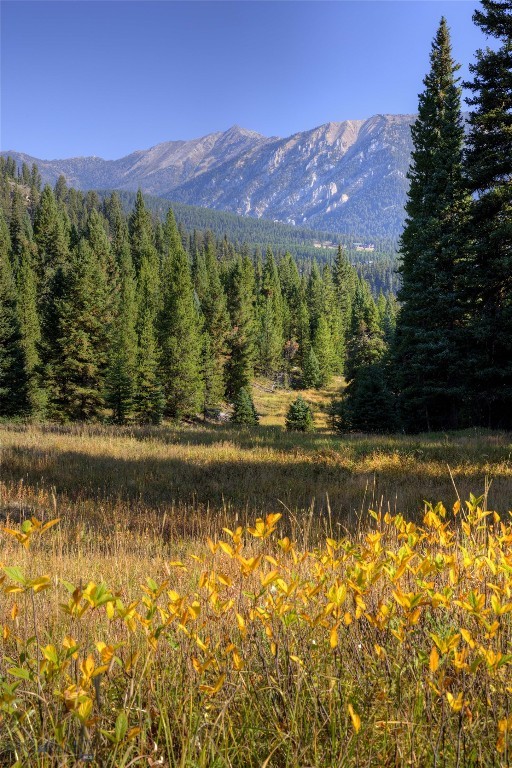 Spring Creek Reserve Neighborhood - Land