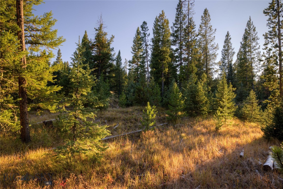 Spring Creek Reserve Neighborhood - Land