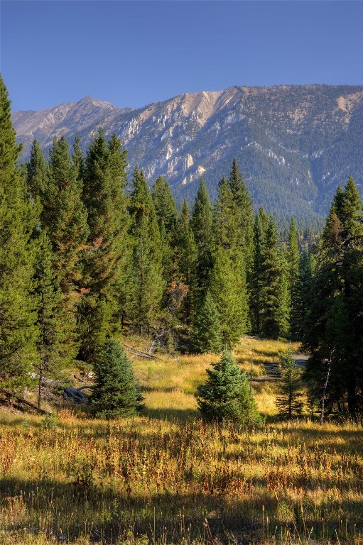 208 Outlook Trail