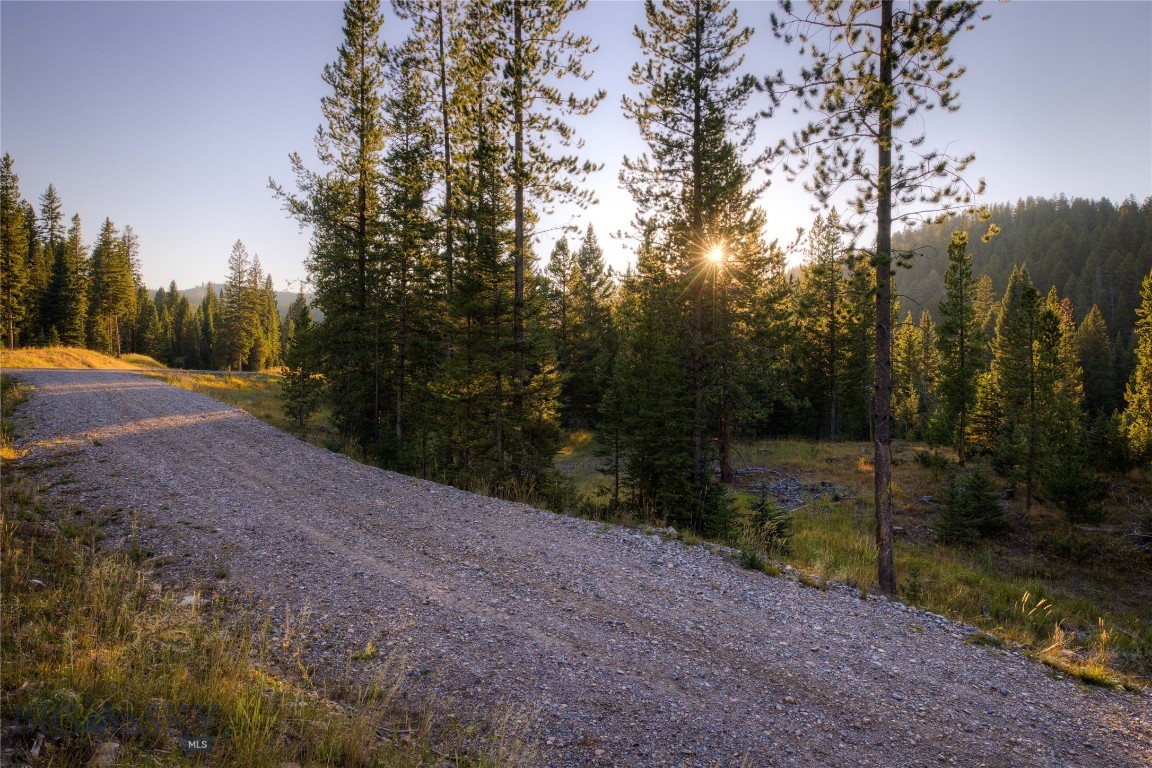 Spring Creek Reserve Neighborhood - Land