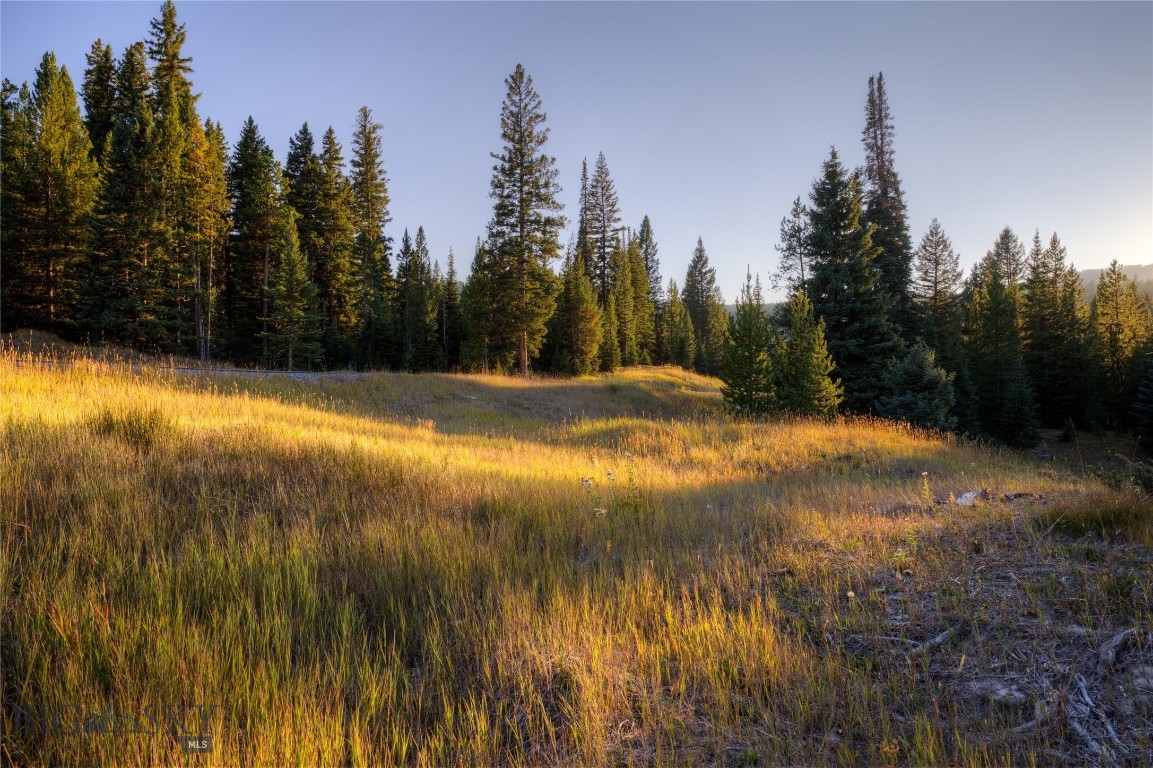 Spring Creek Reserve Neighborhood - Land
