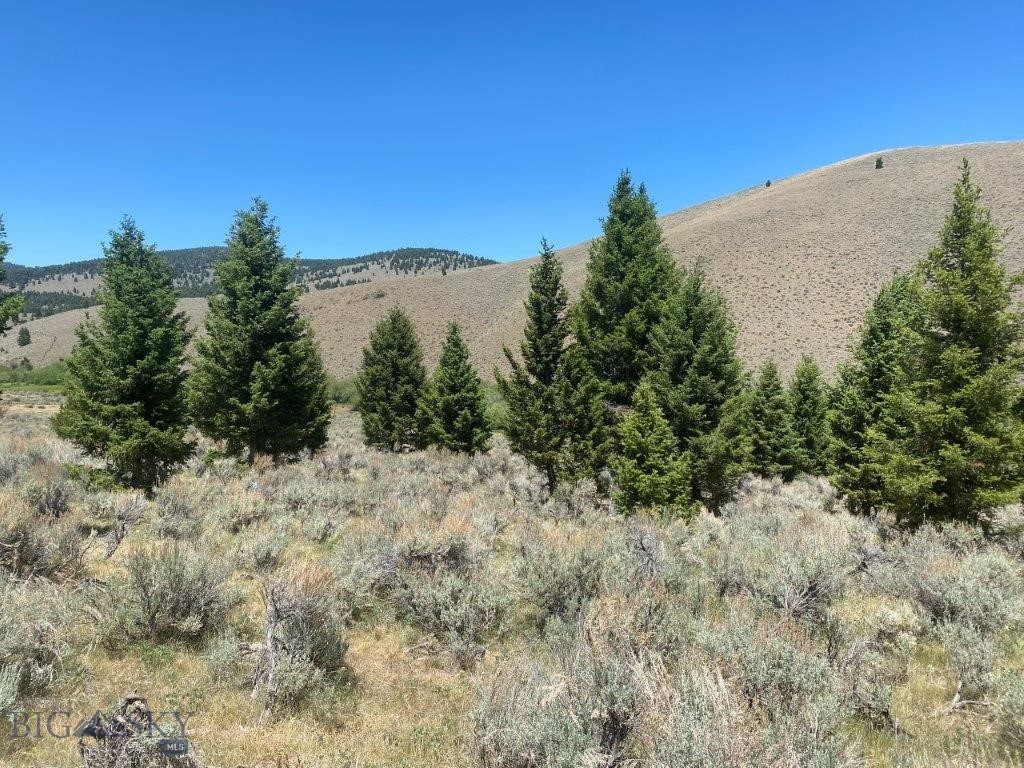 mining claim - Land