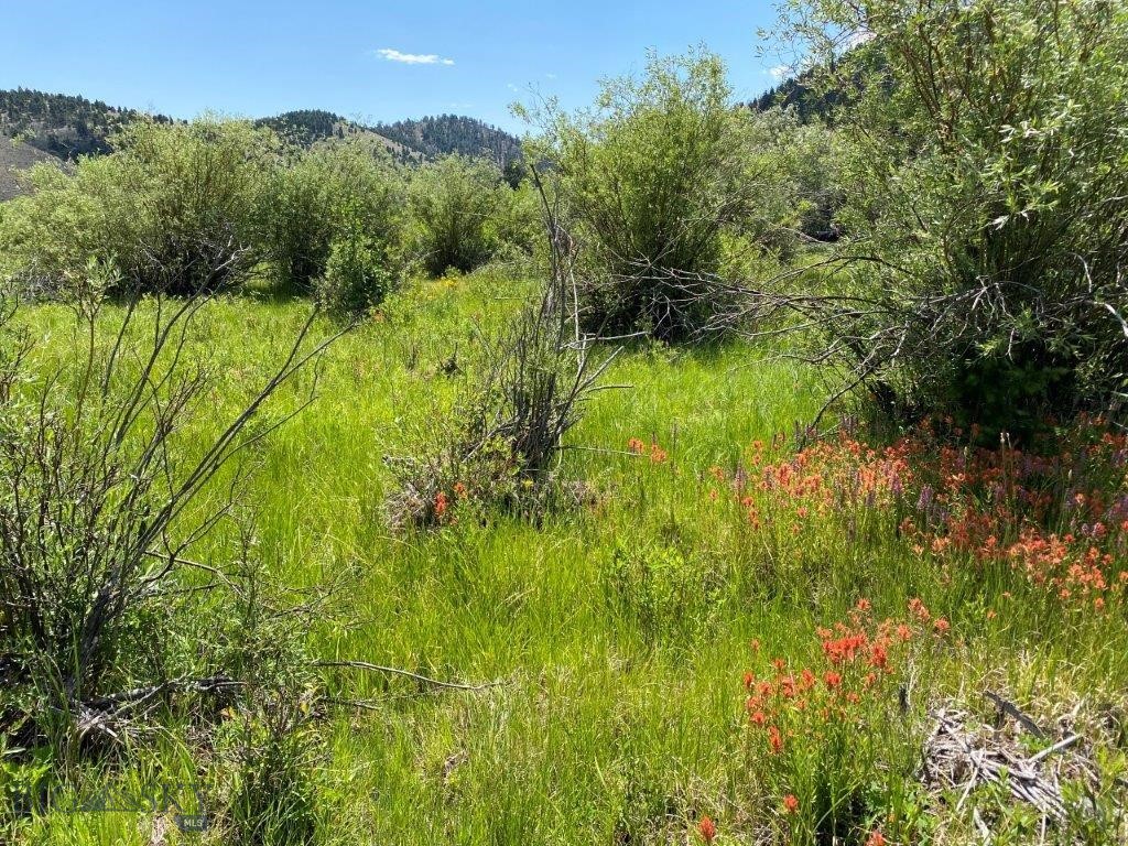 mining claim - Land