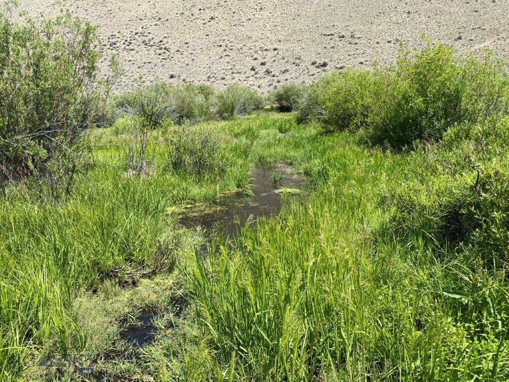 mining claim - Land